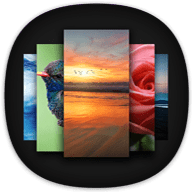 Apex Wallpaper – WhatsApp Wallpapers&Touch Effect 1.6.0