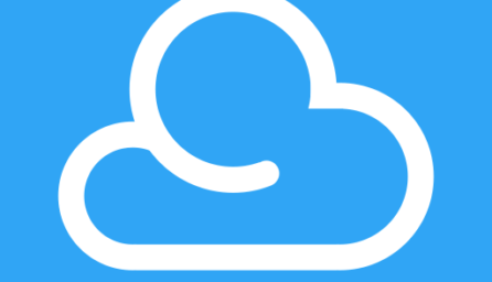 DS cloud 2.8.1 (Android 5.0+)