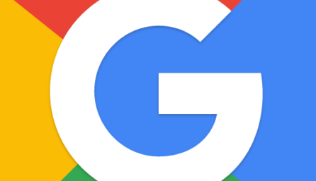 Google Go: A lighter, faster way to search 2.8.261102451.release beta
