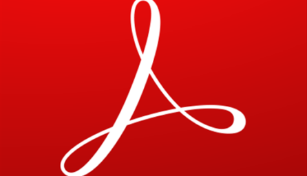 Adobe Acrobat Reader 19.6.0