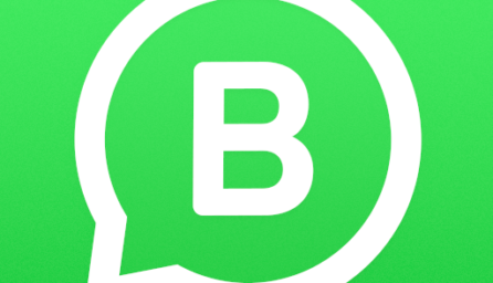 WhatsApp Business 2.19.84