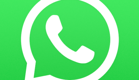 WhatsApp Messenger 2.19.243 beta