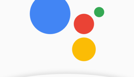 Google Assistant Go 2.1.264865986.release (arm-v7a)