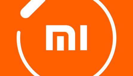 Mi Fit 4.0.8