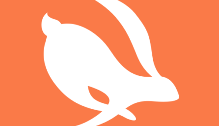 Turbo VPN- Free Proxy Server & Secure VPN Service 2.9.5 (arm-v7a) (Android 4.1+)
