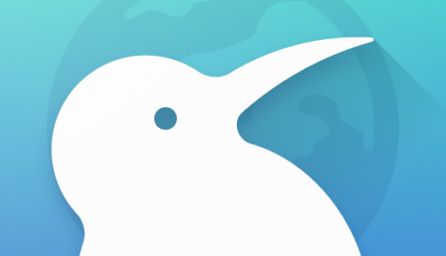 Kiwi Browser – Fast & Quiet Mirror (arm64-v8a)