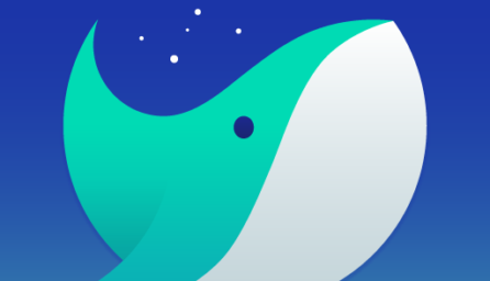 Naver Whale Browser 1.1.1.2 (arm64-v8a)