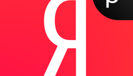 Яндекс (бета) 9.50