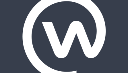 Workplace by Facebook 245.0.0.39.118 (arm-v7a) (120-160dpi) (Android 4.1+)