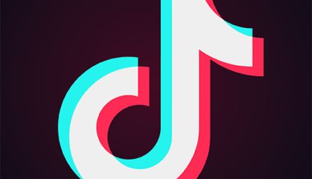 TikTok – Make Your Day 13.6.2 (arm-v7a)