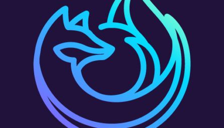 Firefox Preview Nightly for Developers Nightly 191202 06:00 (Early Access) (arm64-v8a)