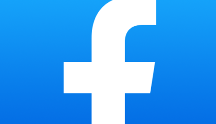 Facebook 251.0.0.31.111