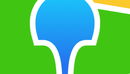 2GIS: directory & navigator 5.0.1.273.10 (x86) (Android 4.4+)