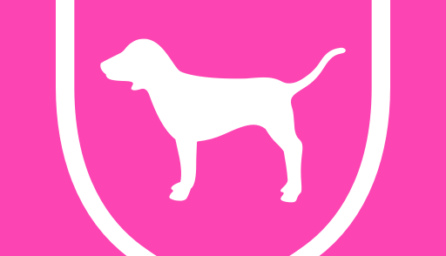 PINK Nation 7.7.0.213 (Android 6.0+)