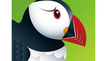 Puffin Web Browser 8.2.0.41200 (arm64-v8a) (Android 4.1+)