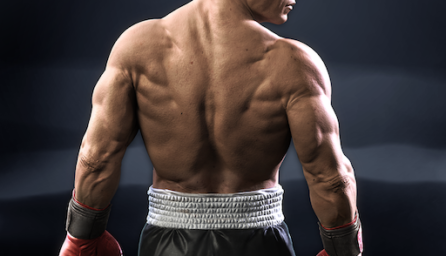 Real Boxing 2 1.9.10