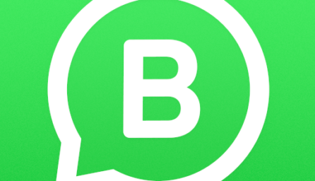 WhatsApp Business 2.20.10 beta