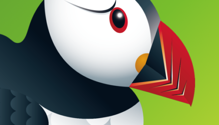 Puffin Web Browser 8.2.2.41268 (x86) (Android 4.1+)