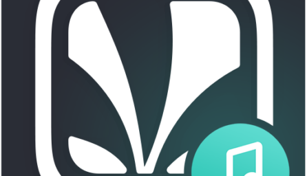 JioSaavn Music & Radio – JioTunes, Podcasts, Songs 6.10.1