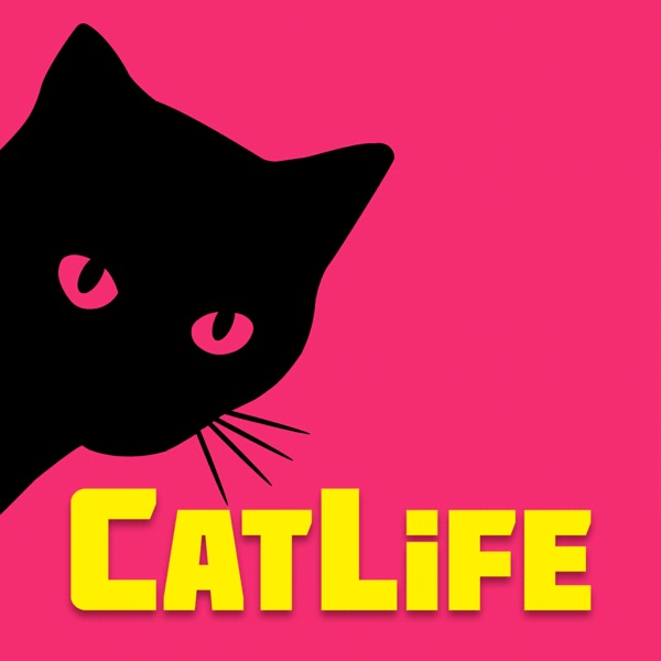 CatLife – BitLife Cat Sport