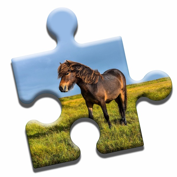 Pony Admire Puzzle